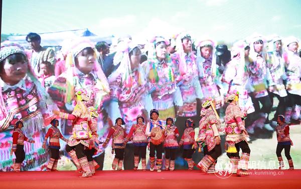 1119_3_副本 1119_3_副本