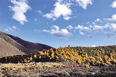 數(shù)字潮起 川蜀潮生