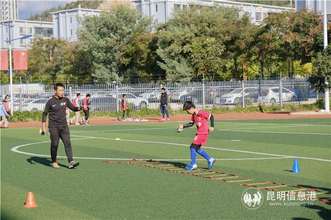 足球基礎(chǔ)課 足球基礎(chǔ)課