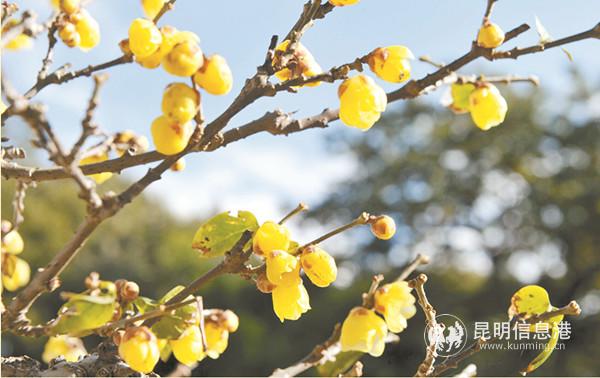 微信圖片_20191119135101