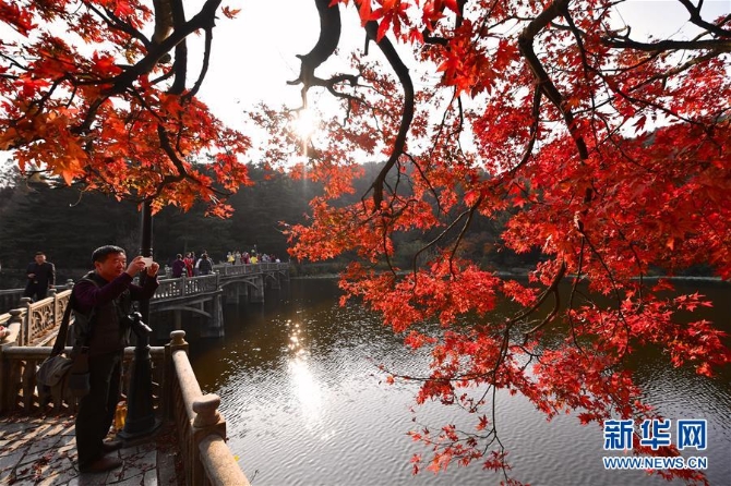 1125243144_15740378663951n1