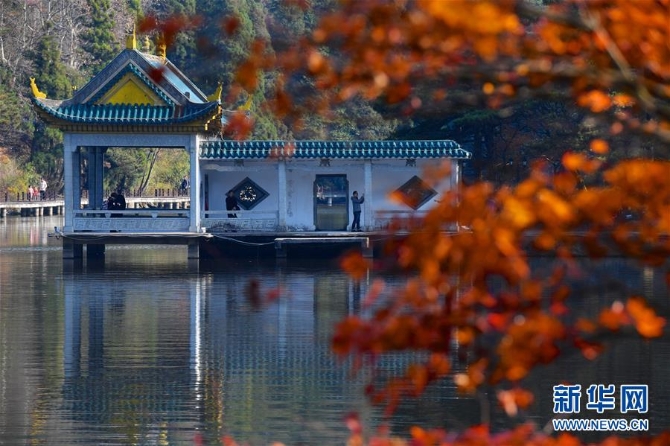 1125243144_15740378664441n2