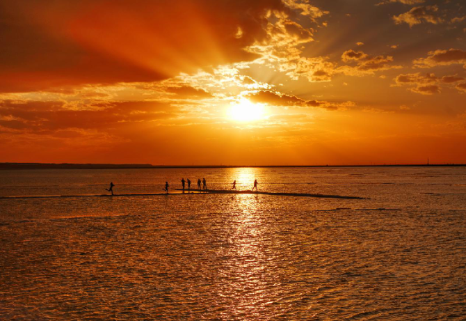 1125249451_15741484856831n6