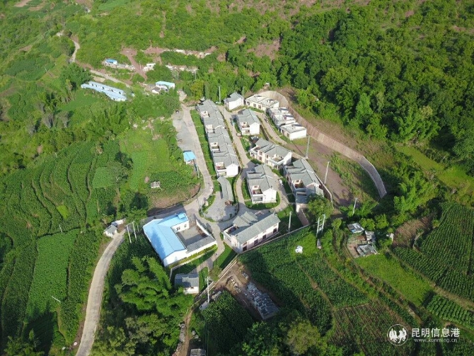 賴家新村 胡庭偉 賴家新村 胡庭偉