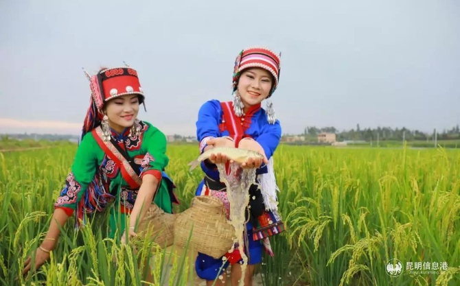 卷起衣袖，親手摸