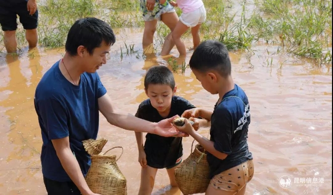 父子上陣齊摸魚(yú)