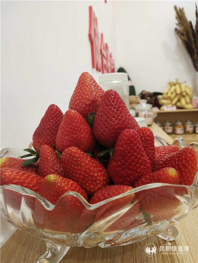 自主培育的草莓 自主培育的草莓