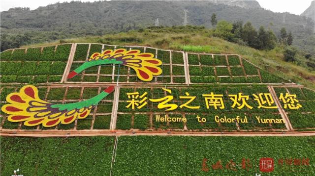 國際卡丁車挑戰(zhàn)賽