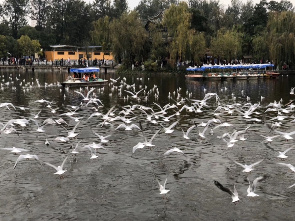 微信圖片_20191122152047