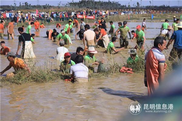 你爭我搶互不相讓 你爭我搶互不相讓