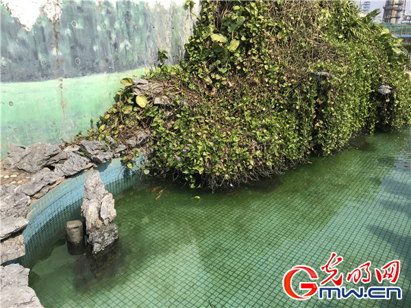 【美麗中國·網(wǎng)絡媒體生態(tài)文明行】廣西北海：濱海之都與水共“舞”