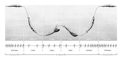 148771_wangjj_1574750677622_b 148771_wangjj_1574750677622_b