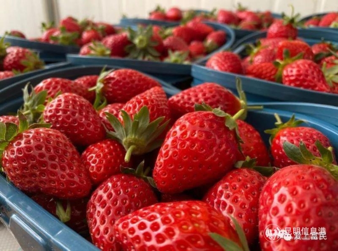 微信圖片_20191127104543