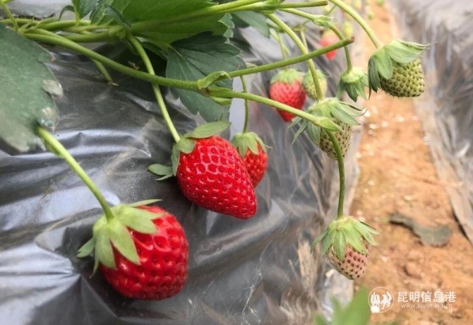 微信圖片_20191127104539