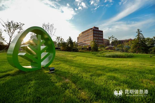 mmexport1574857279211 mmexport1574857279211