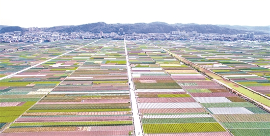 2019112809_res03_attpic_brief 2019112809_res03_attpic_brief