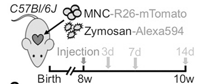 151225_liuh_1574838089163_b 151225_liuh_1574838089163_b