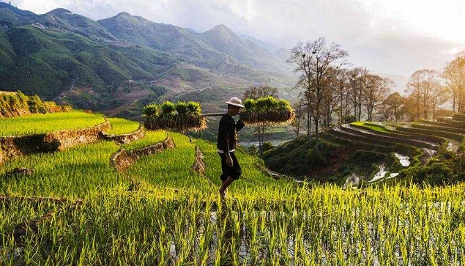 timg.jpg?x-oss-process=style/w10