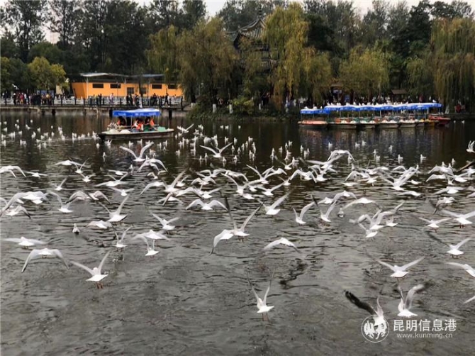 微信圖片_20191129171131b