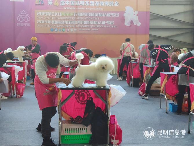 988e4007bee2c6baa94ebeb2b69d59c 988e4007bee2c6baa94ebeb2b69d59c