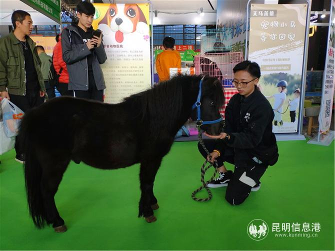 a8b49510908f9552009fbac1e4b4f03 a8b49510908f9552009fbac1e4b4f03