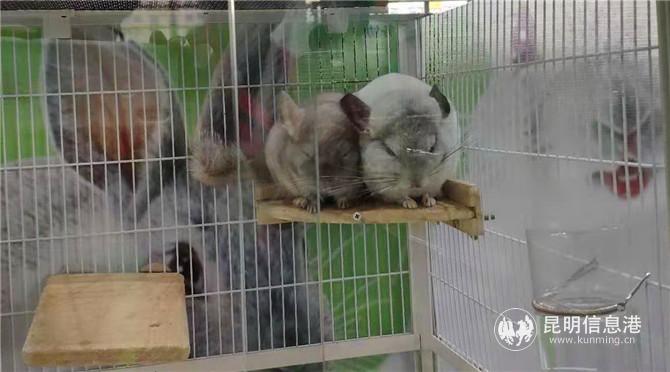 13aa1c9d379b191a0d8047455c5d6ca 13aa1c9d379b191a0d8047455c5d6ca