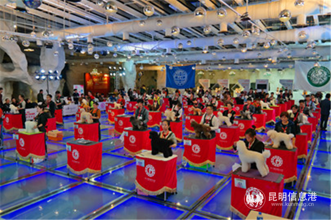 寵物美容師資格鑒定