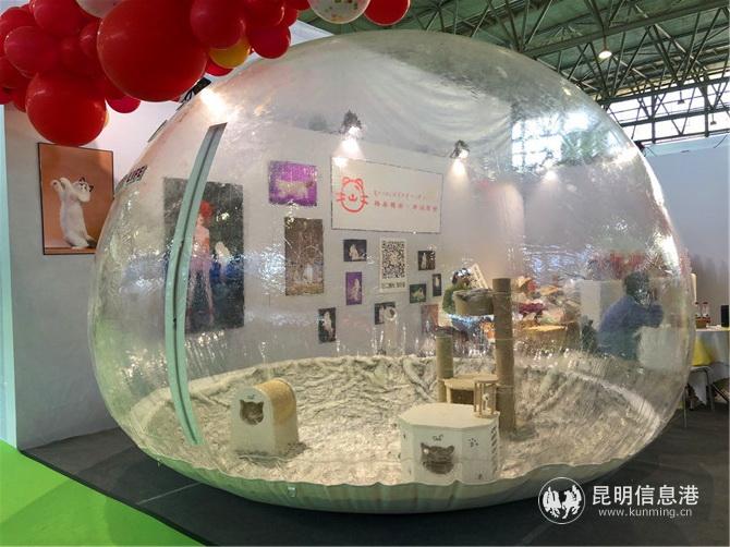 巨大的寵物天地。