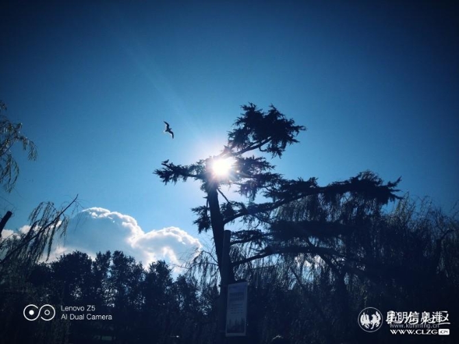 孟加拉國的高楓的作品