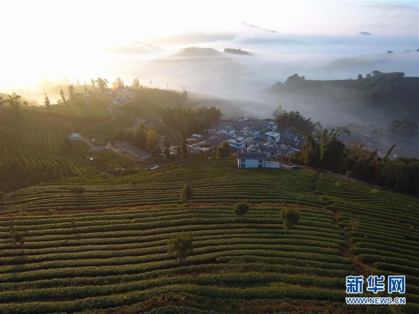 云南思茅4 云南思茅4