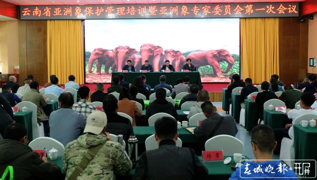 云南召開第一屆亞洲象專家委員第一次會議 (3).jpg