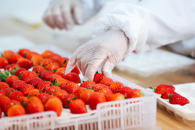 圖片3.png 圖片3.png