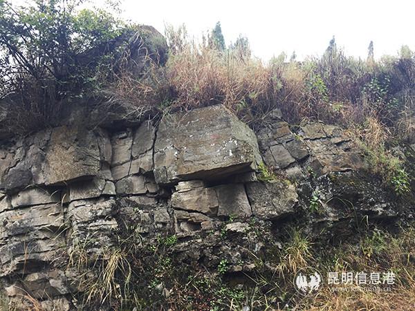 梅樹村剖面一隅。記者孫紅亮攝