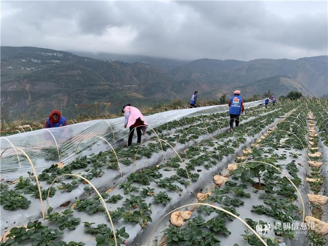 微信圖片_20191204112253