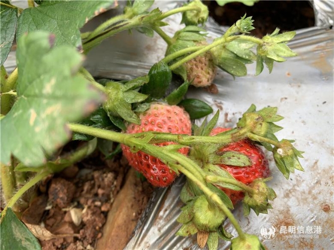 微信圖片_201912041122533