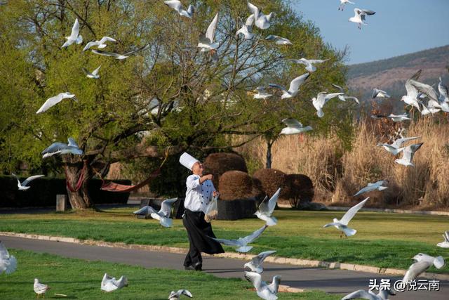 您真的了解陽宗海？這才是與昆明咫尺的詩與遠方