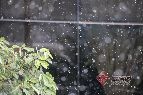 00301252318_1450b8d1