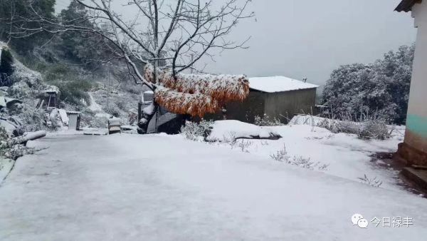 640.webp (4) 640.webp (4)