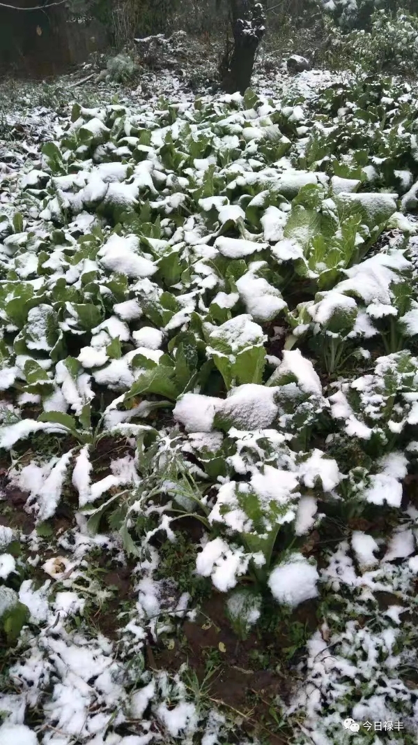 640.webp (9) 640.webp (9)