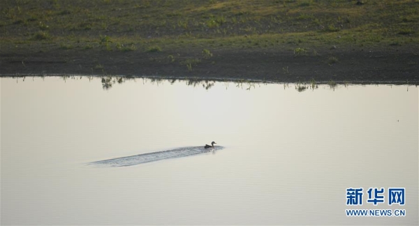 洞庭湖1 洞庭湖1