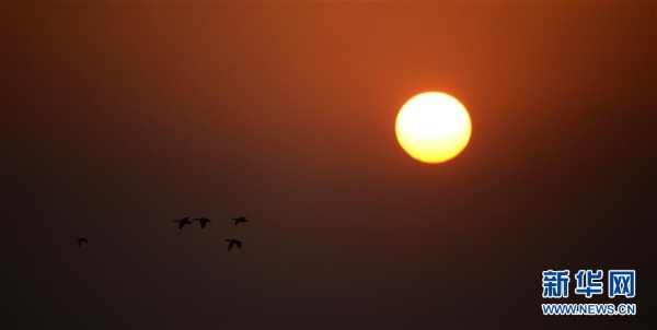 洞庭湖3 洞庭湖3