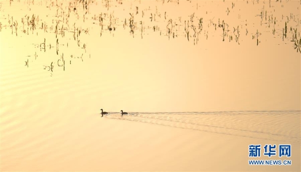 洞庭湖5 洞庭湖5