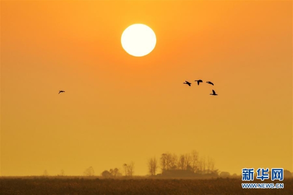 洞庭湖6 洞庭湖6