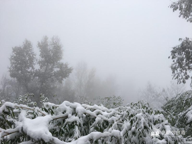 微信圖片_201912061010591