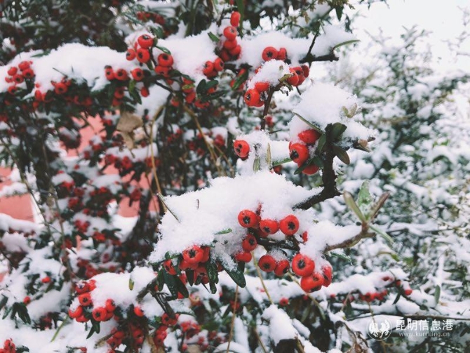 微信圖片_201912061010593