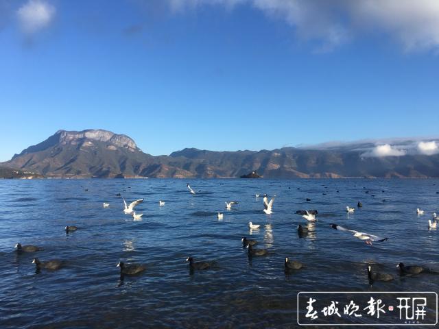 劃定生態(tài)紅線、滇川共治共管 瀘沽湖保護(hù)的退與進(jìn) (6).jpg