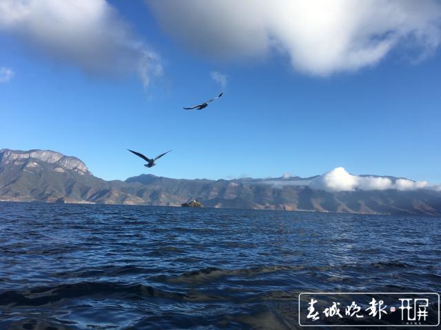 劃定生態(tài)紅線、滇川共治共管 瀘沽湖保護(hù)的退與進(jìn) (7).jpg