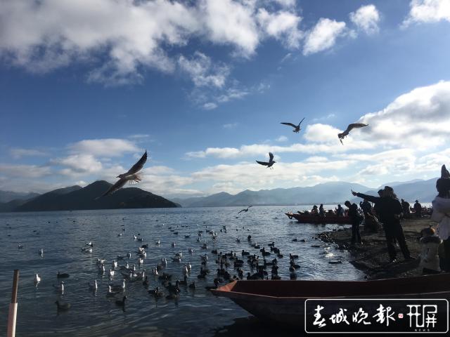 劃定生態(tài)紅線、滇川共治共管 瀘沽湖保護(hù)的退與進(jìn) (9).jpg