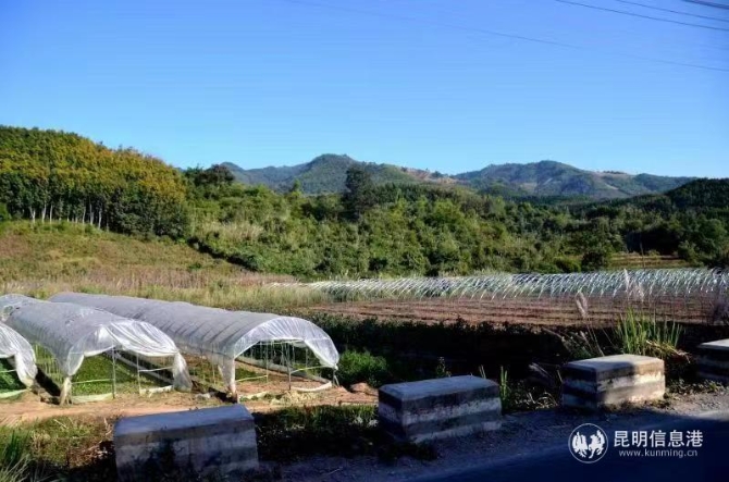 微信圖片_20191206180731