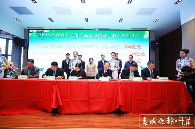 滬滇合作助力脫貧 云南森林生態(tài)產(chǎn)品亮相上海 (3).jpg